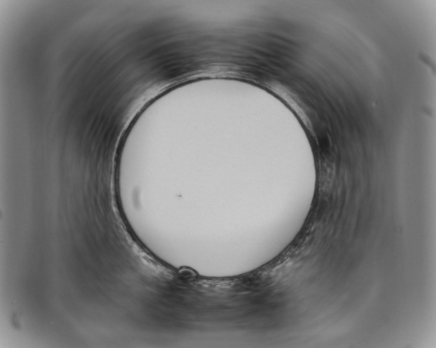 X0000097980861200804141116