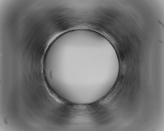 X0000097980862200804141116