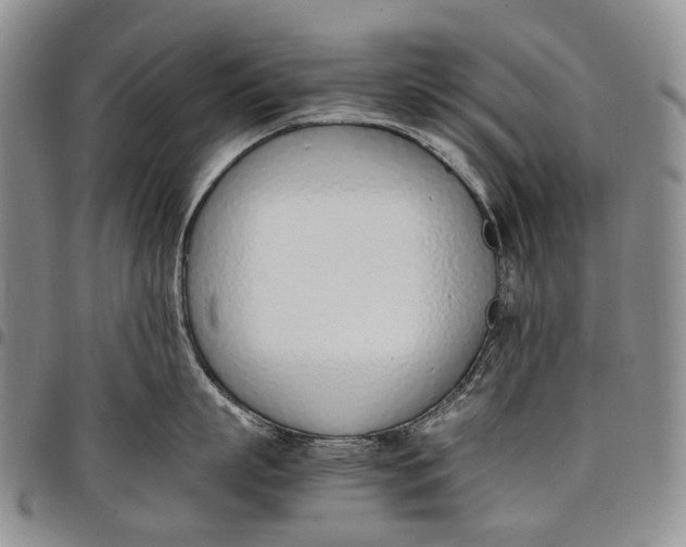 X0000097980863200804141116