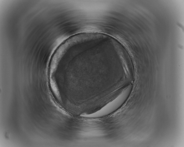 X0000097980864200804141116