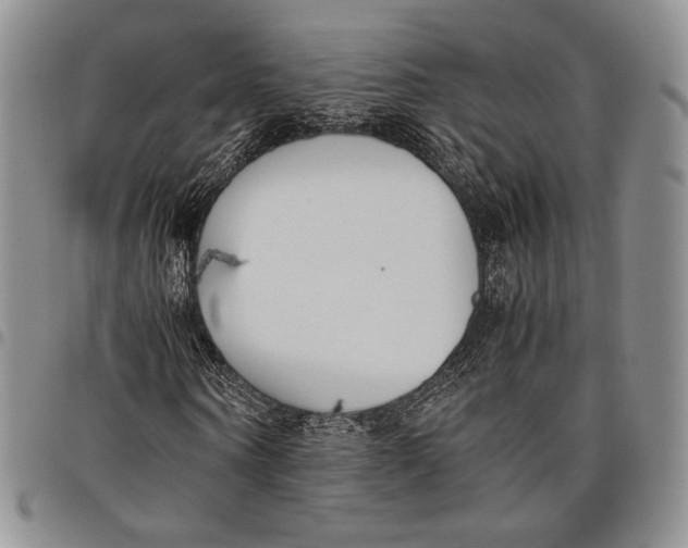 X0000097980866200804141115