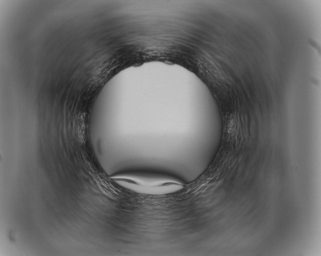 X0000097980868200804141115