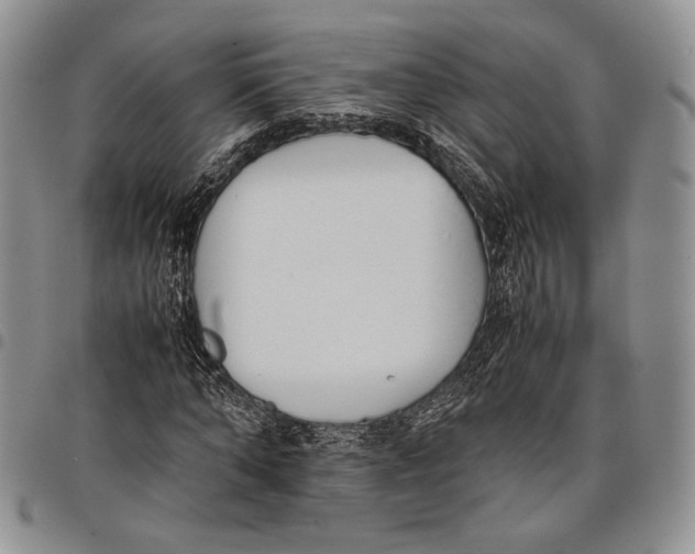 X0000097980870200804141115