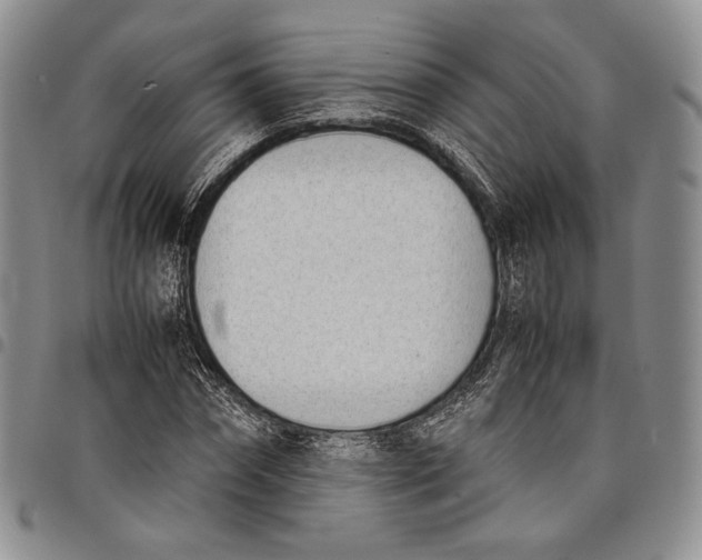 X0000097980874200804141115