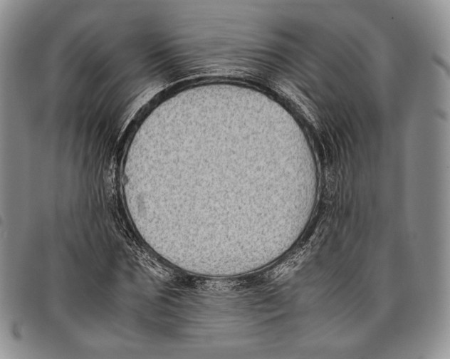 X0000097980875200804141115