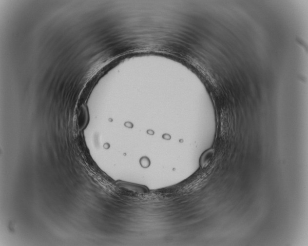 X0000097980876200804141115