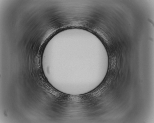 X0000097980878200804141115