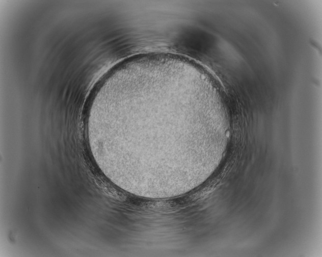 X0000097980879200804141115