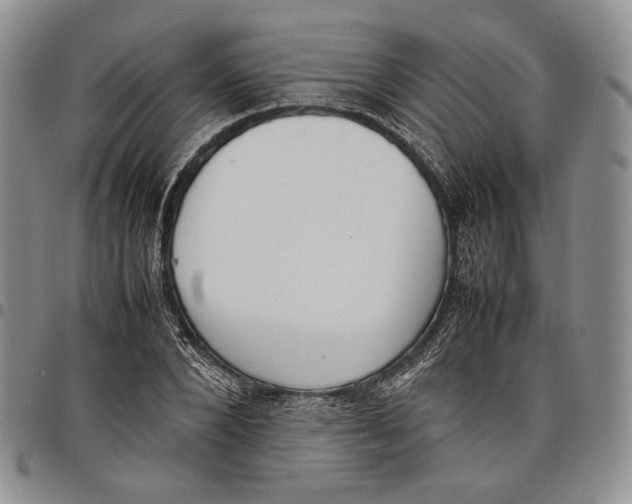 X0000097980880200804141115