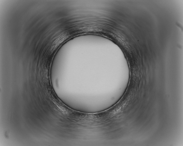 X0000097980881200804141115