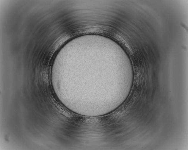 X0000097980882200804141115