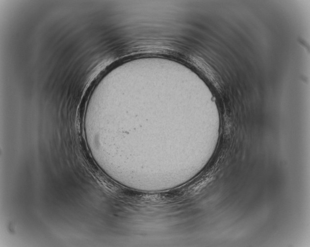 X0000097980883200804141115