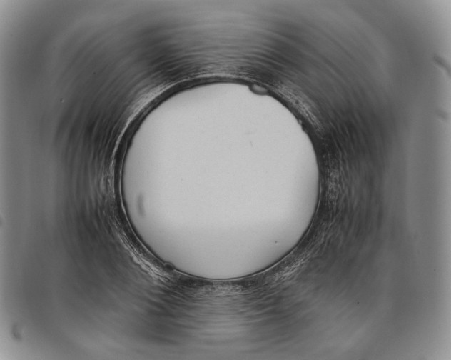 X0000097980884200804141115