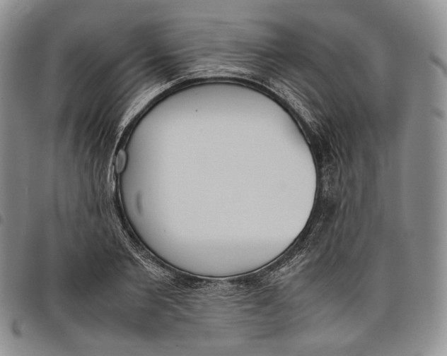 X0000097980885200804141115