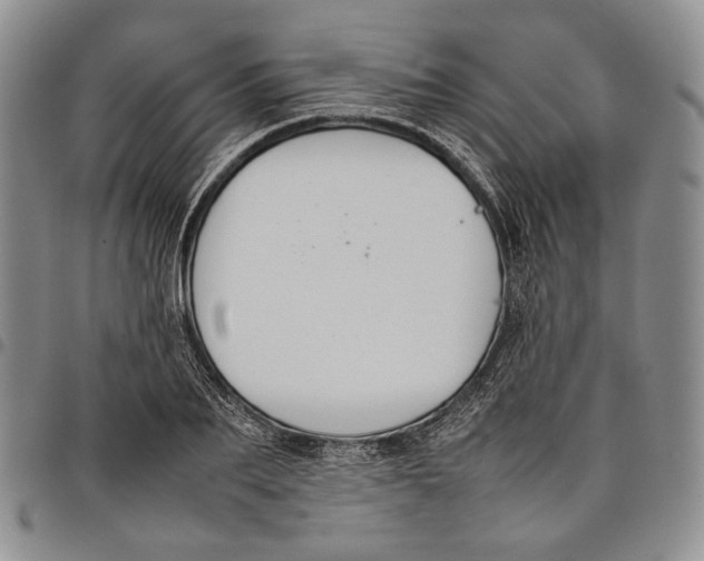 X0000097980887200804141115