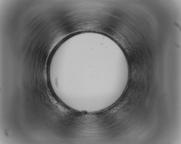 X0000097980888200804141115