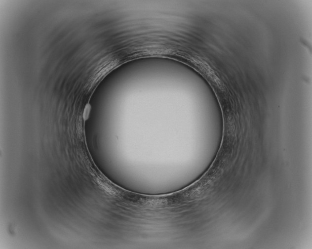 X0000097980889200804141115