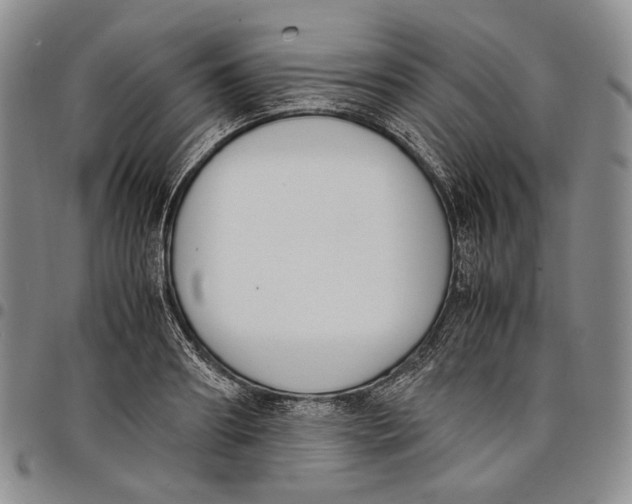 X0000097980890200804141115