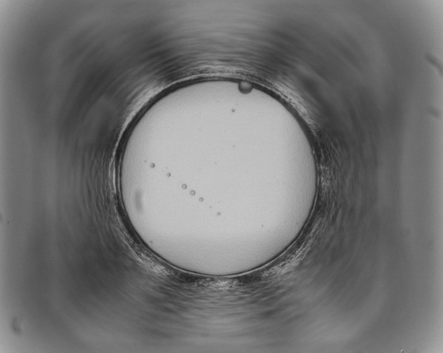 X0000097980891200804141115