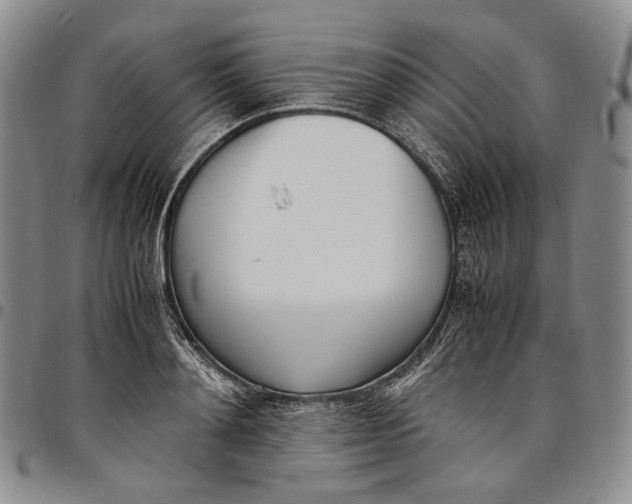 X0000097980892200804141115