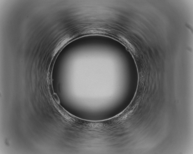 X0000097980893200804141115