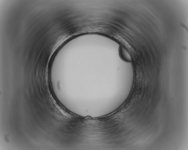 X0000097980894200804141115