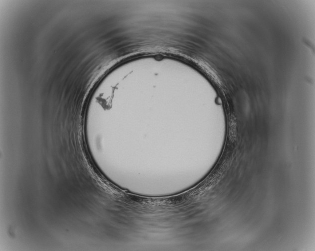 X0000097980895200804141115