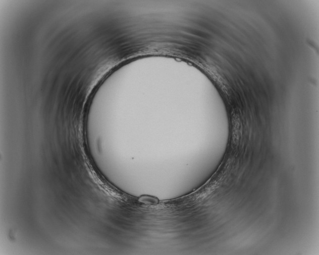 X0000097980896200804141115