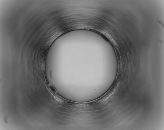 X0000097980897200804141115