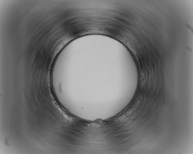 X0000097980898200804141115