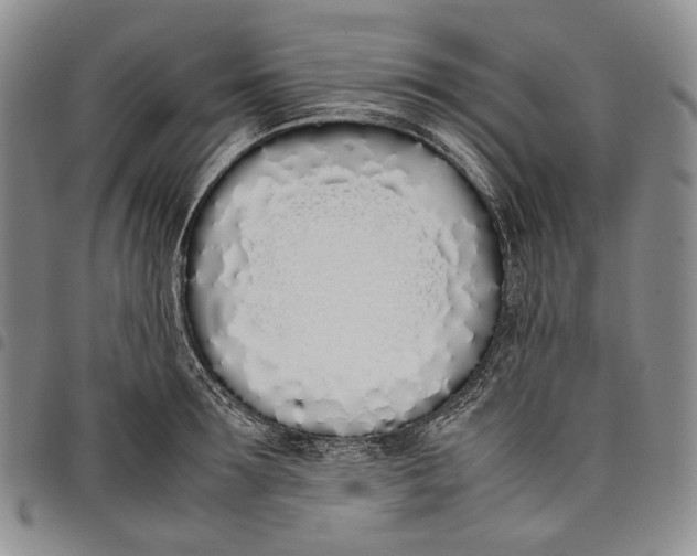 X0000097980899200804141114