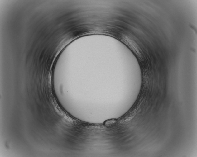 X0000097980900200804141114