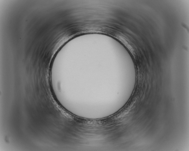 X0000097980901200804141114