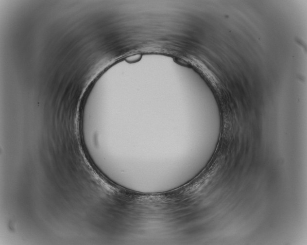 X0000097980902200804141114