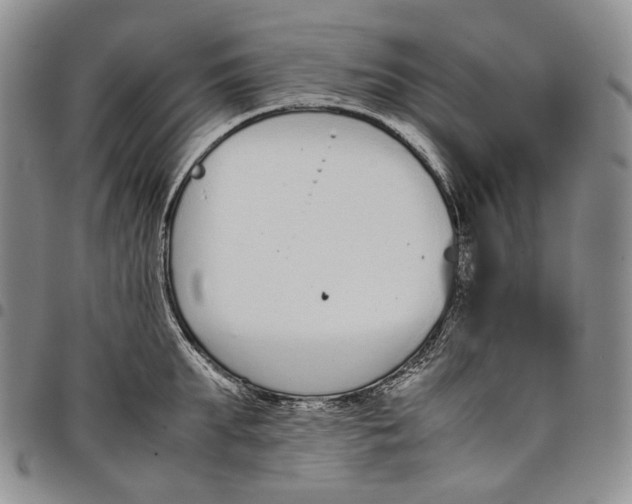 X0000097980903200804141114