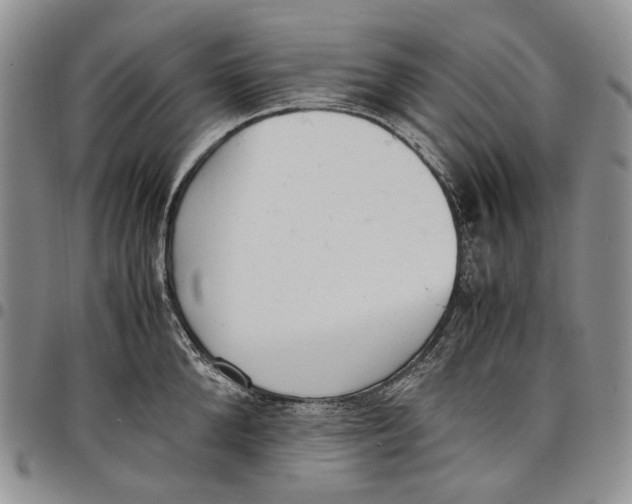 X0000097980904200804141114