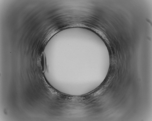 X0000097980905200804141114