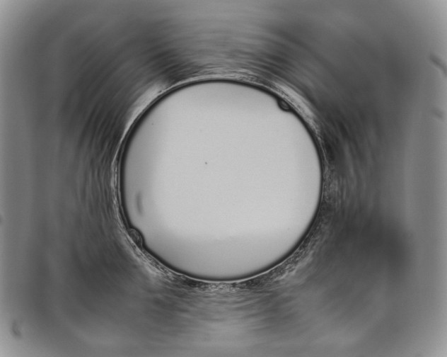 X0000097980907200804141114