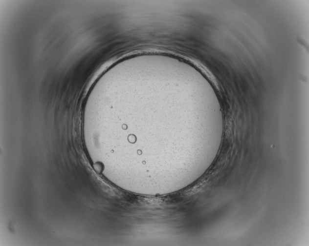 X0000097980911200804141114