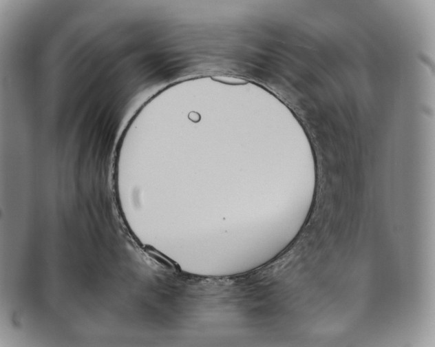 X0000097980912200804141114