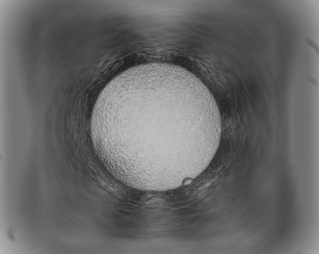 X0000097980913200804141113