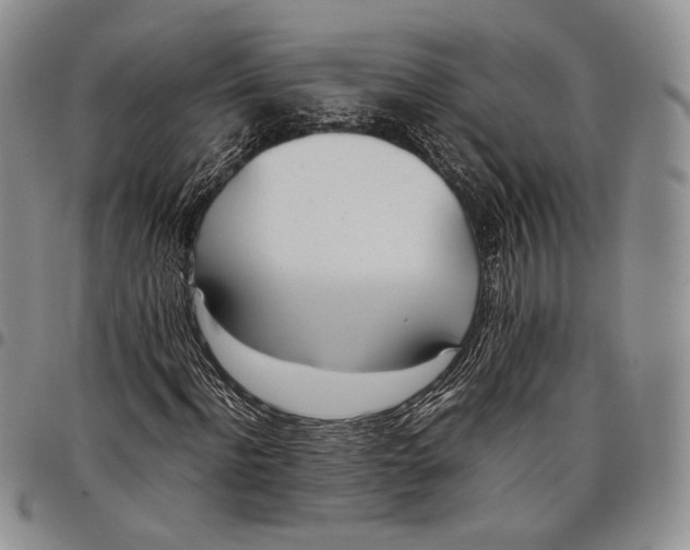 X0000097980916200804141114