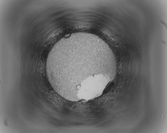 X0000097980917200804141114