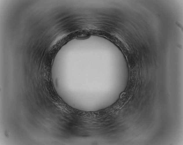 X0000097980919200804141114