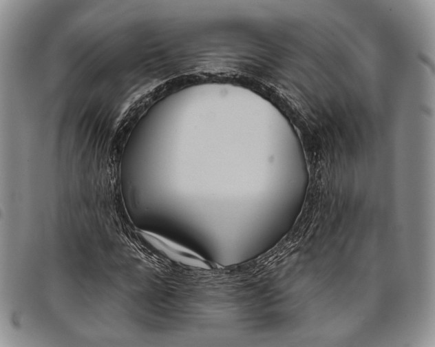 X0000097980920200804141114