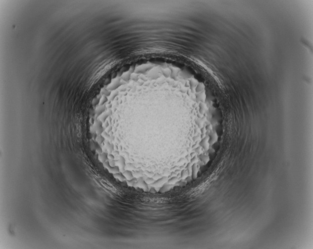 X0000097980921200804141114