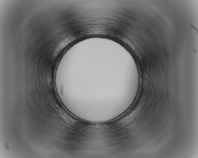 X0000097980922200804141114