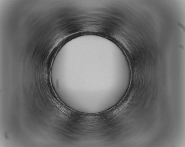 X0000097980923200804141114