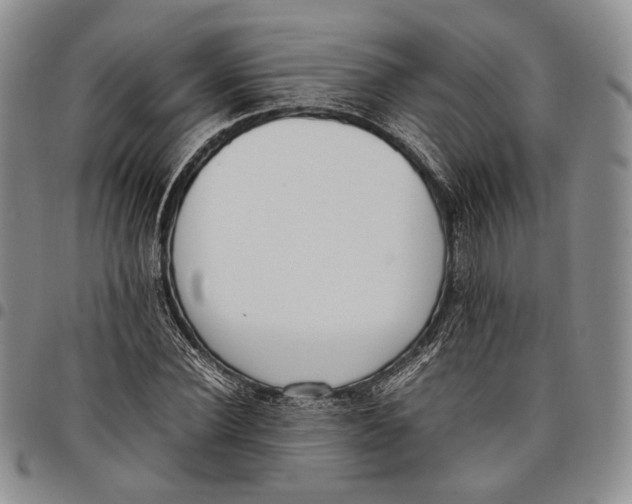 X0000097980924200804141114