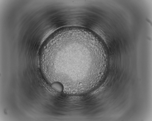 X0000097980925200804141114